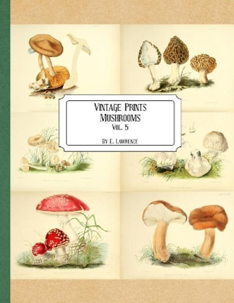 Vintage Prints: Mushrooms: Vol. 5 by E Lawrence 9781727164244