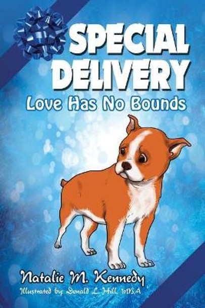 Special Delivery: Love Has No Bounds by Donald L Hill Mba 9781539341154