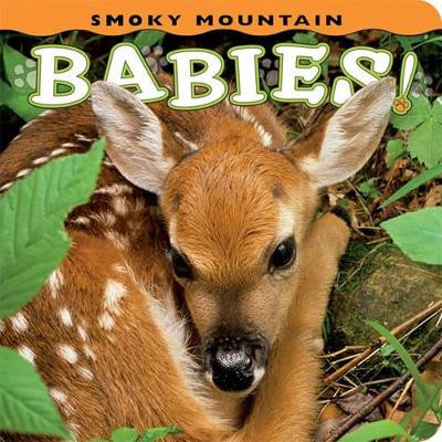 Smoky Mountain Babies! by Ann Simpson 9781560375067