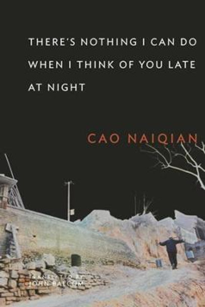 There's Nothing I Can Do When I Think of You Late at Night by Naiqian Cao