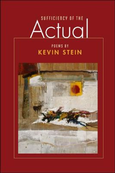 Sufficiency of the Actual by Kevin Stein