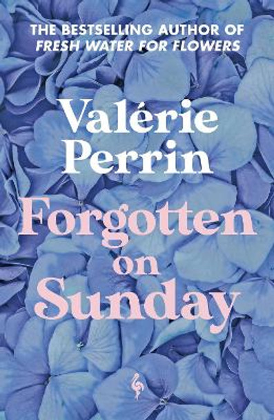 Forgotten on Sunday: From the million copy bestselling author of Fresh Water for Flowers Valérie Perrin 9781787705272