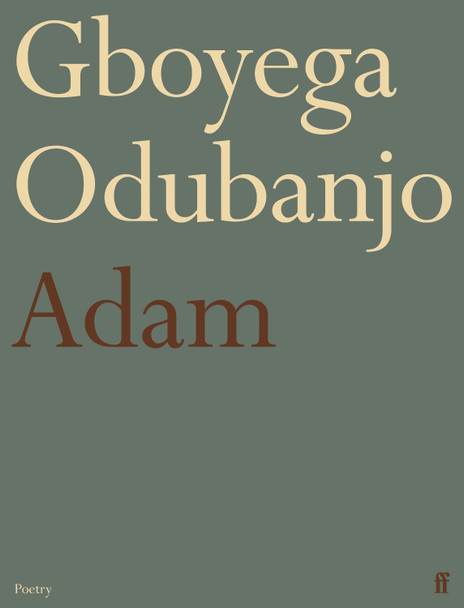 Adam Gboyega Odubanjo 9780571390403
