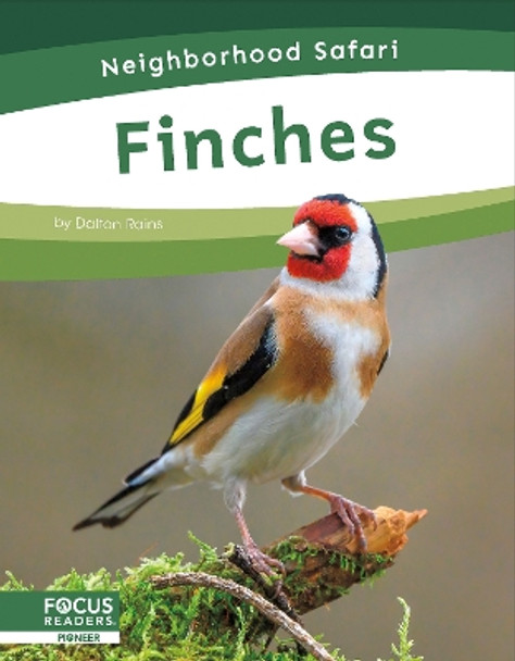 Neighborhood Safari: Finches Dalton Rains 9798889981756