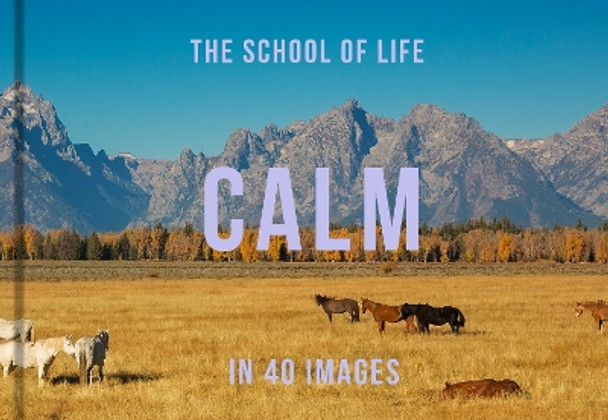 Calm in 40 Images: The art of finding serenity The School of Life 9781916753006