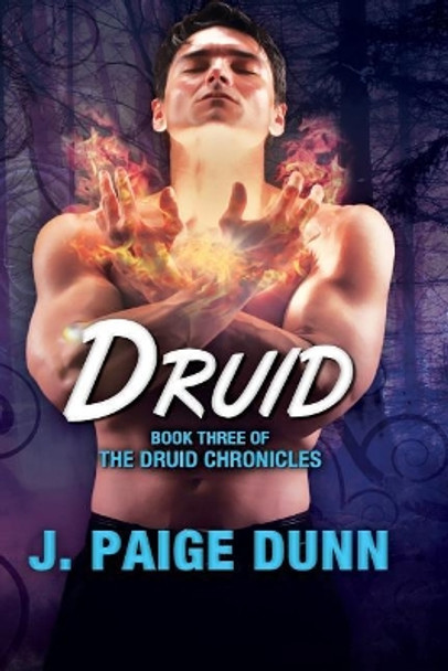 Druid: Book Three of the Druid Chronicles by J Paige Dunn 9781940882055