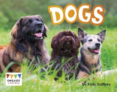 Dogs Kelly Gaffney 9781398254473