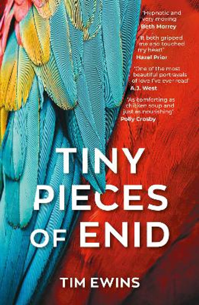 Tiny Pieces of Enid by Tim Ewins