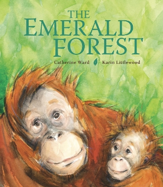 The Emerald Forest Catherine Ward 9781915659545