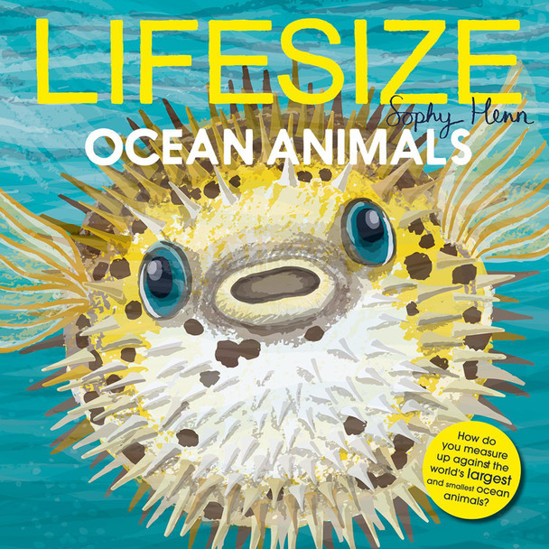 Lifesize Ocean Animals Sophy Henn 9780008546410 Lifesize Ocean Animals Sophy Henn 9780008546410