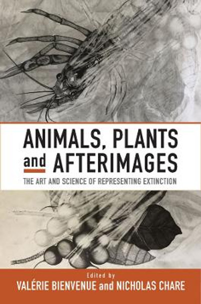 Animals, Plants and Afterimages: The Art and Science of Representing Extinction Valérie Bienvenue 9781805393320