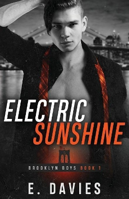Electric Sunshine by E Davies 9781912245307