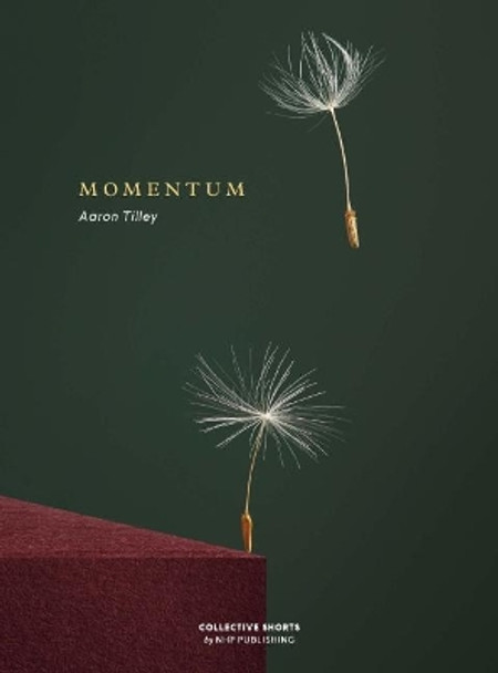 Momentum by Aaron Tilley 9789187815355