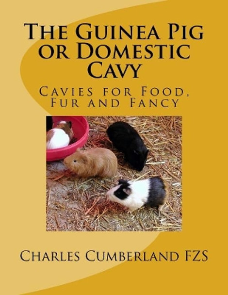 The Guinea Pig or Domestic Cavy: Cavies for Food, Fur and Fancy by Jackson Chambers 9781984192103