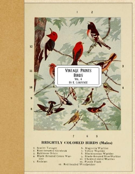 Vintage Prints: Birds: Vol. 4 by E Lawrence 9781720468332