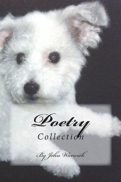 Poetry: Collection by J P Warwick 9781718737556