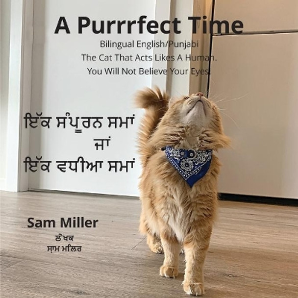 &#2567;&#2673;&#2581; &#2616;&#2672;&#2602;&#2626;&#2608;&#2600; &#2616;&#2606;&#2622;&#2562; &#2588;&#2622;&#2562; &#2567;&#2673;&#2581; &#2613;&#2599;&#2624;&#2566; &#2616;&#2606;&#2622;&#2562; - A Purrrfect Time by Sam Miller 9781777549022