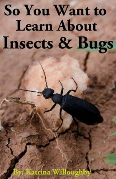 So You Want to Learn About Insects & Bugs by Katrina Willoughby 9781950285037
