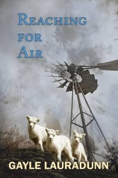 Reaching for Air by Gayle Lauradunn 9781940769172