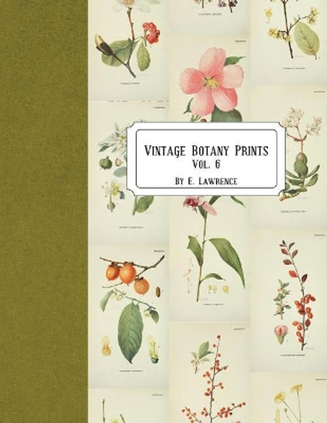 Vintage Botany Prints: Vol. 6 by E Lawrence 9781721904761