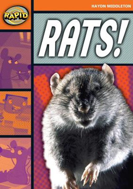 Rapid Stage 4 Set B: Rats! (Series 1) by Haydn Middleton