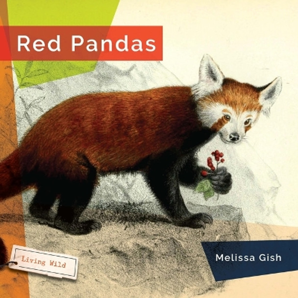 Red Pandas by Melissa Gish 9781682773529