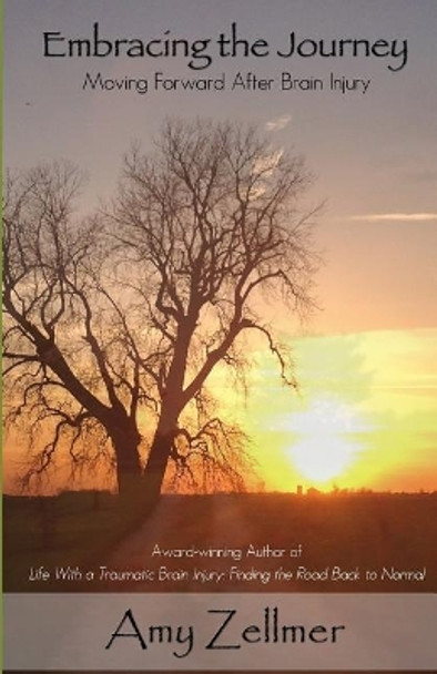 Embracing the Journey: Moving Forward After Brain Injury by Amy Zellmer 9781985320192