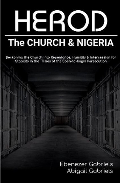 Herod: The Church & Nigeria by Abigail Gabriels 9781950579990