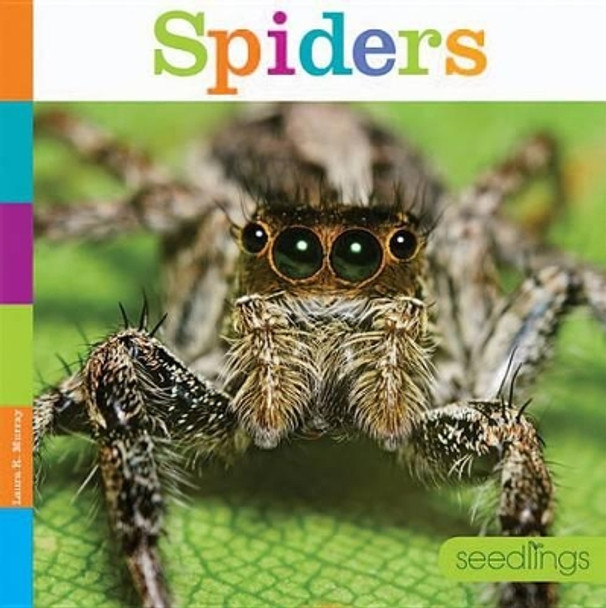 Spiders by Laura K Murray 9781628321890