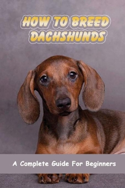 How To Breed Dachshunds: A Complete Guide For Beginners: Dachshund Mating Behavior by Shanti VanEtten 9798546569716