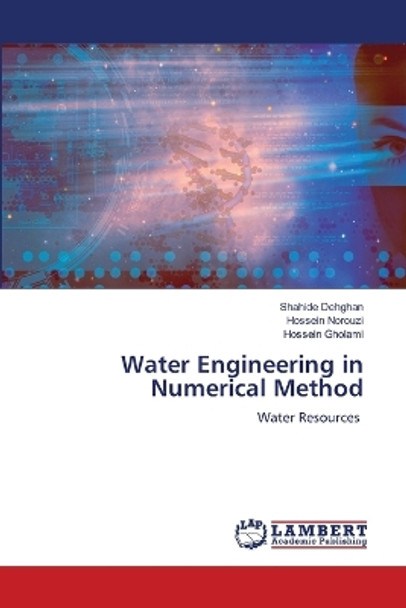 Water Engineering in Numerical Method by Shahide Dehghan 9786205641309