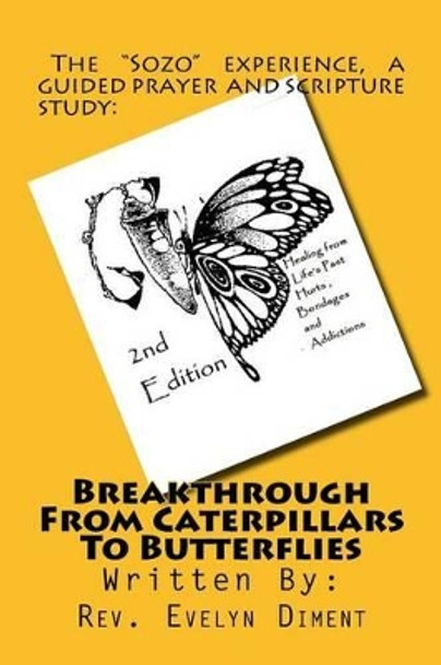 Breakthrough From Caterpillars to Butterflies: : Healing from past Hurts, Bondages and Addictions by Denise Beard 9781523450237