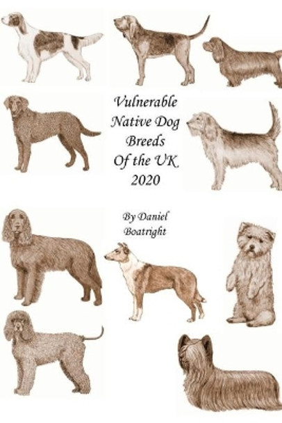 Vulnerable Native Dog Breeds: of the UK 2020 by Daniel Boatright Bsc 9798675969708