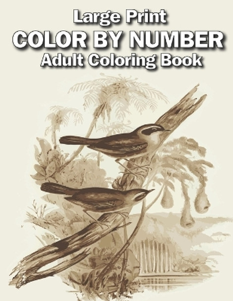 large print color by number adult coloring book: Large Print adults Color By Numbers of Relaxing Flowers, Animals, Butterflies, birds and ( Adults Color by Number Coloring Books) by Creekside Lane 9798876357649