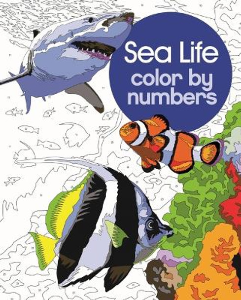 Sea Life Color by Numbers by David Woodroffe 9781398836297