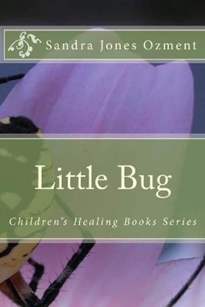 Little Bug by Sandra Jones Ozment 9781987484649