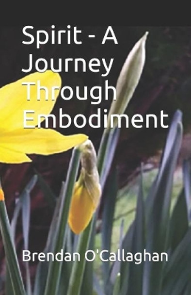 Spirit - A Journey Through Embodiment by Brendan O'Callaghan 9798701168822