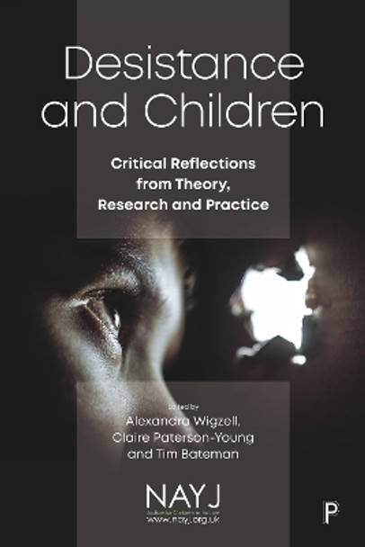 Desistance and Children: Critical Reflections from Theory, Research and Practice by Neal Hazel 9781447369110