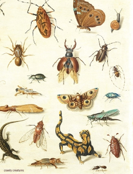Crawly Creatures - Depiction and Appreciation of Insects and other Critters in Art and Science by Hans Mulder 9789462087569