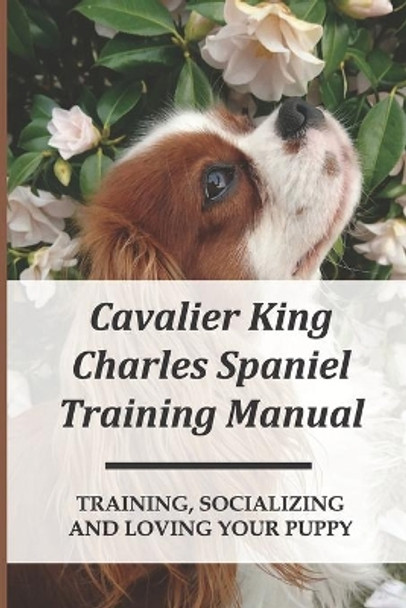 Cavalier King Charles Spaniel Training Manual: Training, Socializing And Loving Your Puppy: How To Have Special Bond With Cavalier King Charles Spaniel by Jarvis Coffinberger 9798453719686