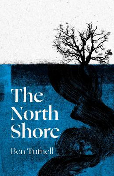 The North Shore: a stunning gothic debut by Ben Tufnell