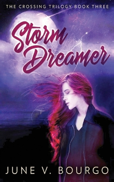 Storm Dreamer by June V Bourgo 9784824101969