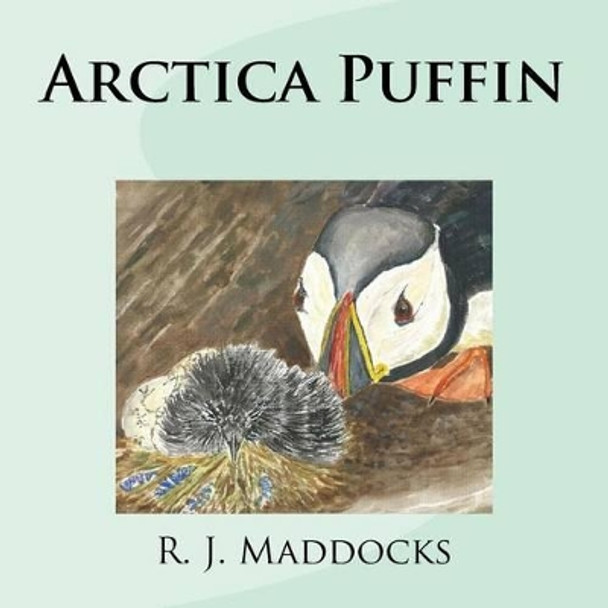 Arctica Puffin by Rachel Jane Maddocks 9781522742135