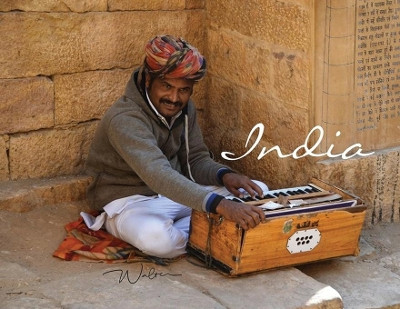 India by Walter Williams 9781646101665