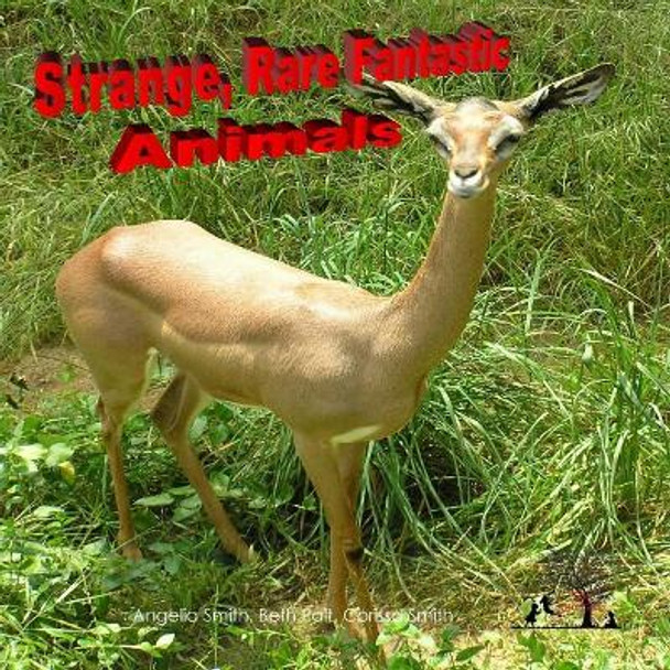 Strange Rare Fantastic Animals by Beth Pait 9781530860166