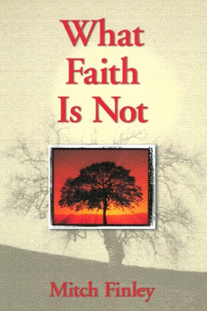 What Faith Is Not by Mitch Finley 9781580511032