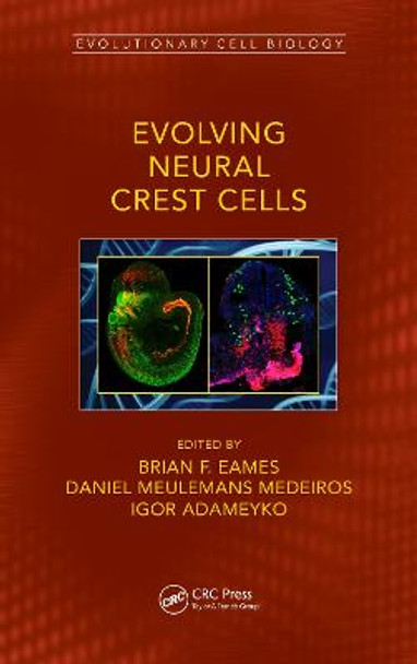 Evolving Neural Crest Cells by Daniel Meulemans Medeiros