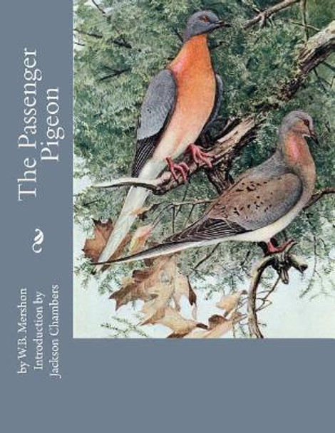 The Passenger Pigeon by Jackson Chambers 9781546428688