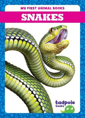 Snakes by Natalie Deniston 9798889965893