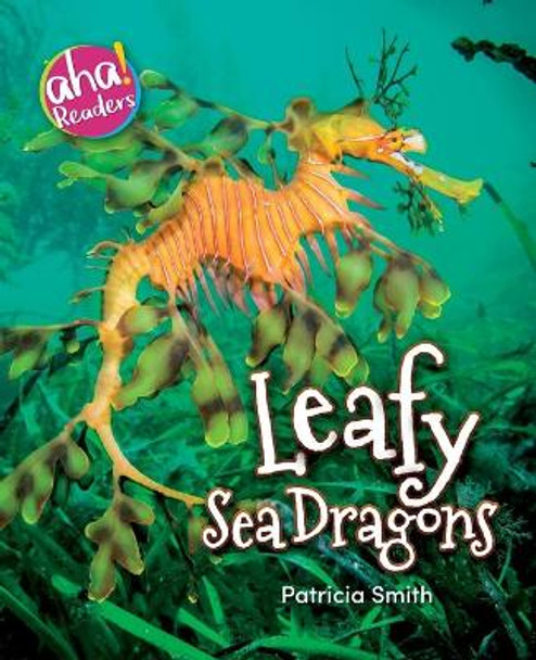 Leafy Sea Dragons by Patricia Smith 9781733309264